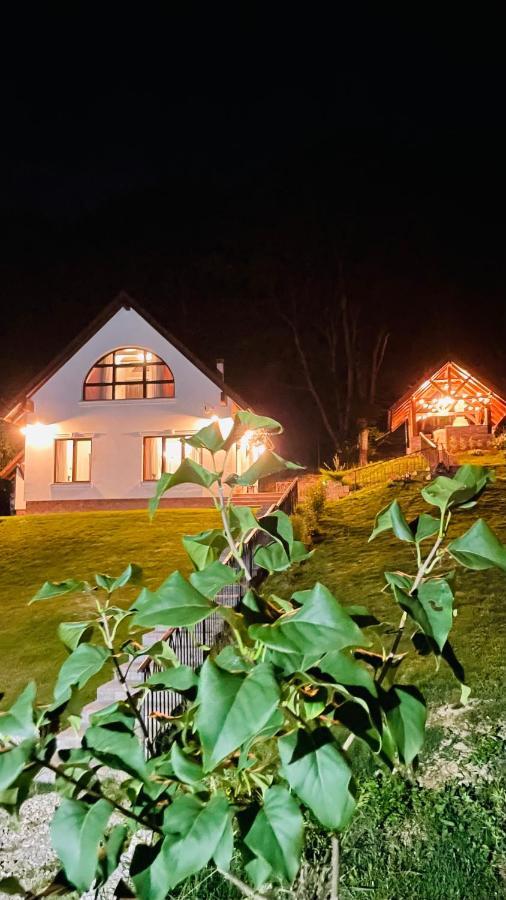 Villa Casuta Boema Rîşnov Exterior foto